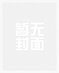 大秦工程兵免费阅读